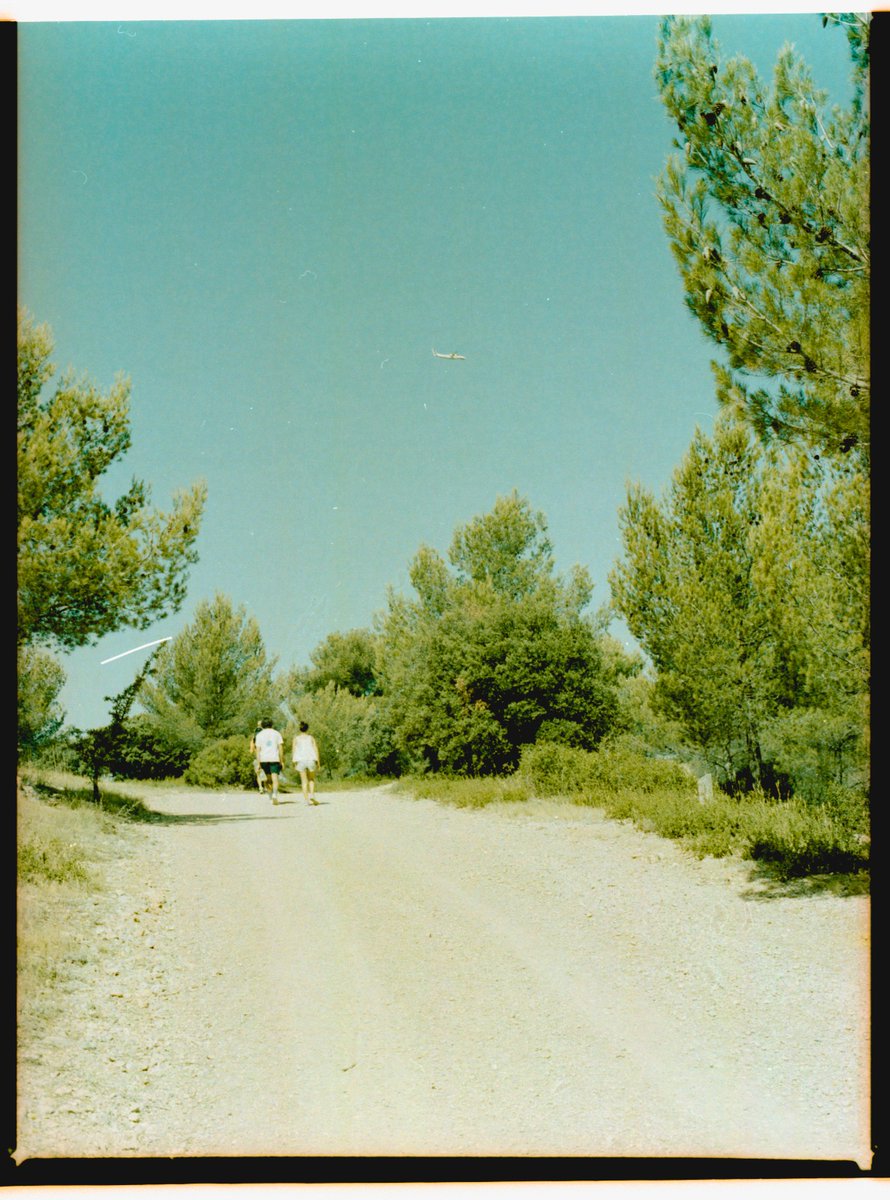 120films's tweet photo. summer vibe on 120 film https://t.co/qzovkM4fpN