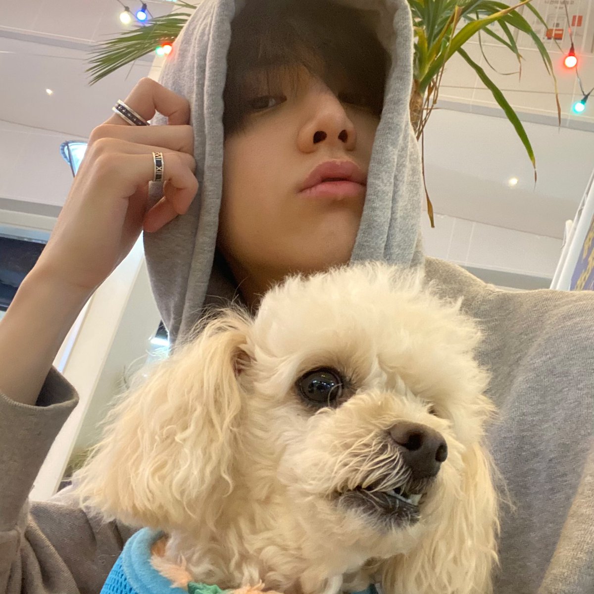 hoon really loves bori more than anything else in the world, he keeps on sending us pics of/with her 💔