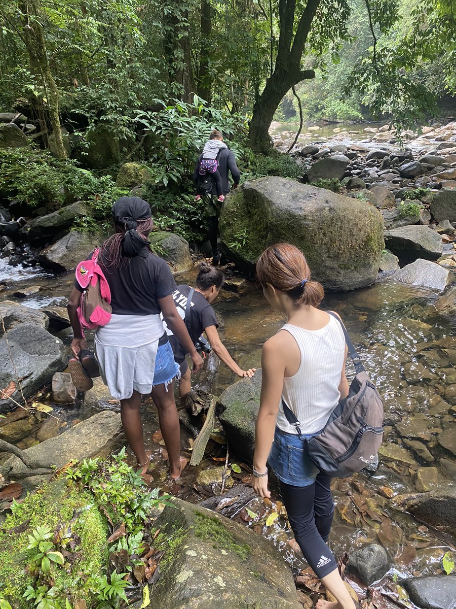 Le week-end dernier, nous vous proposions une excursion dans le parc national des Monts De Cristal⛰. N’hésitez pas vous aussi à réserver la votre en Dm 😊