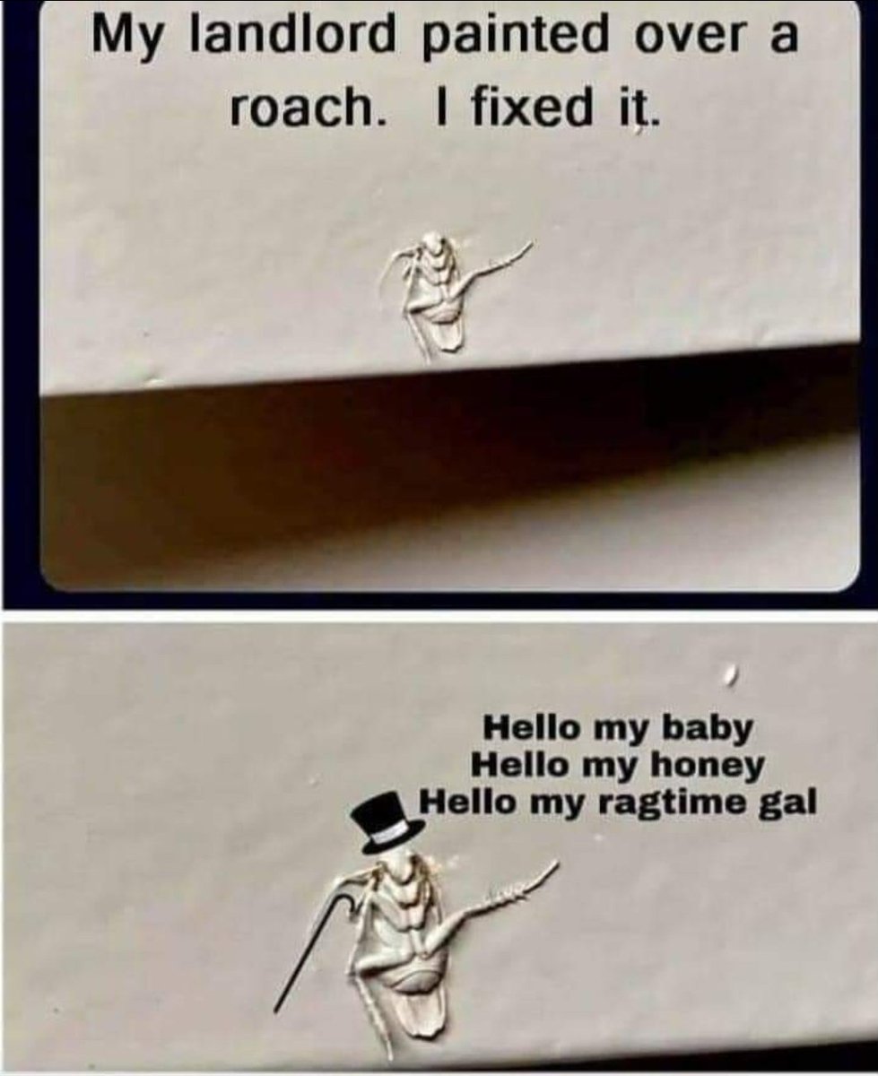 Funny Hilarious Memes | Slumlords Suck | <a href="/CrackupTees/">JynxCorner | Comedy</a> 👈💯✌️
