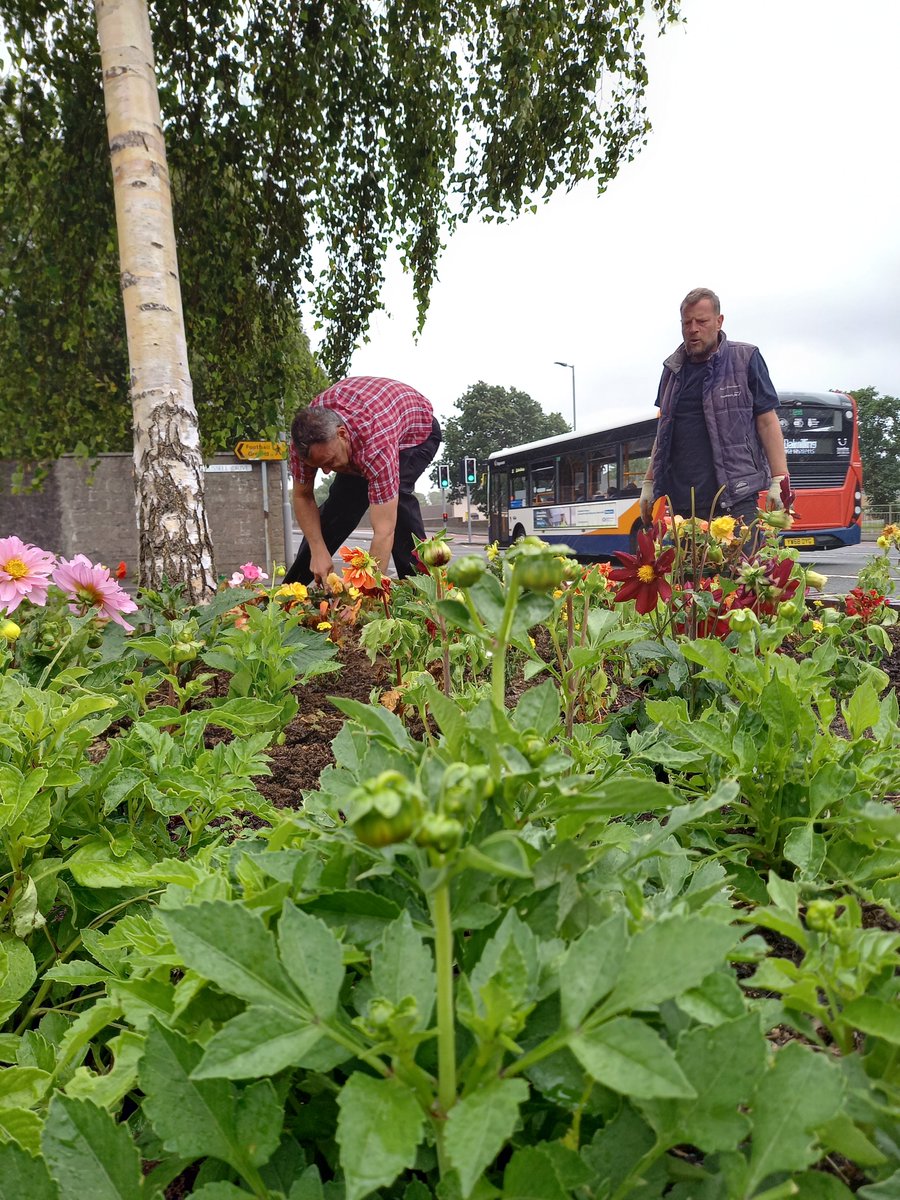 Scotfire_ENSA's tweet photo. Great piece of work carried out by the #Wallacetown Gardening Group and #SFRSLizBrady. Bright City community garden is now summer ready. #WorkingForWallacetown https://t.co/nD3h5pylrH