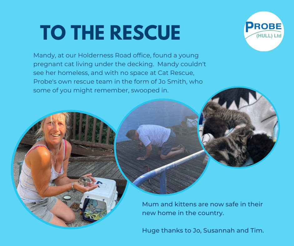 ProbeHullLtd tweet media