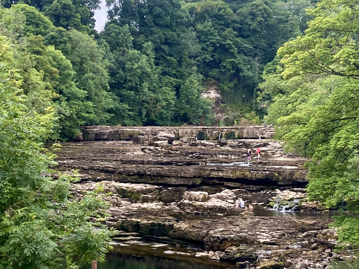 PAUL KINGSTON tweet media