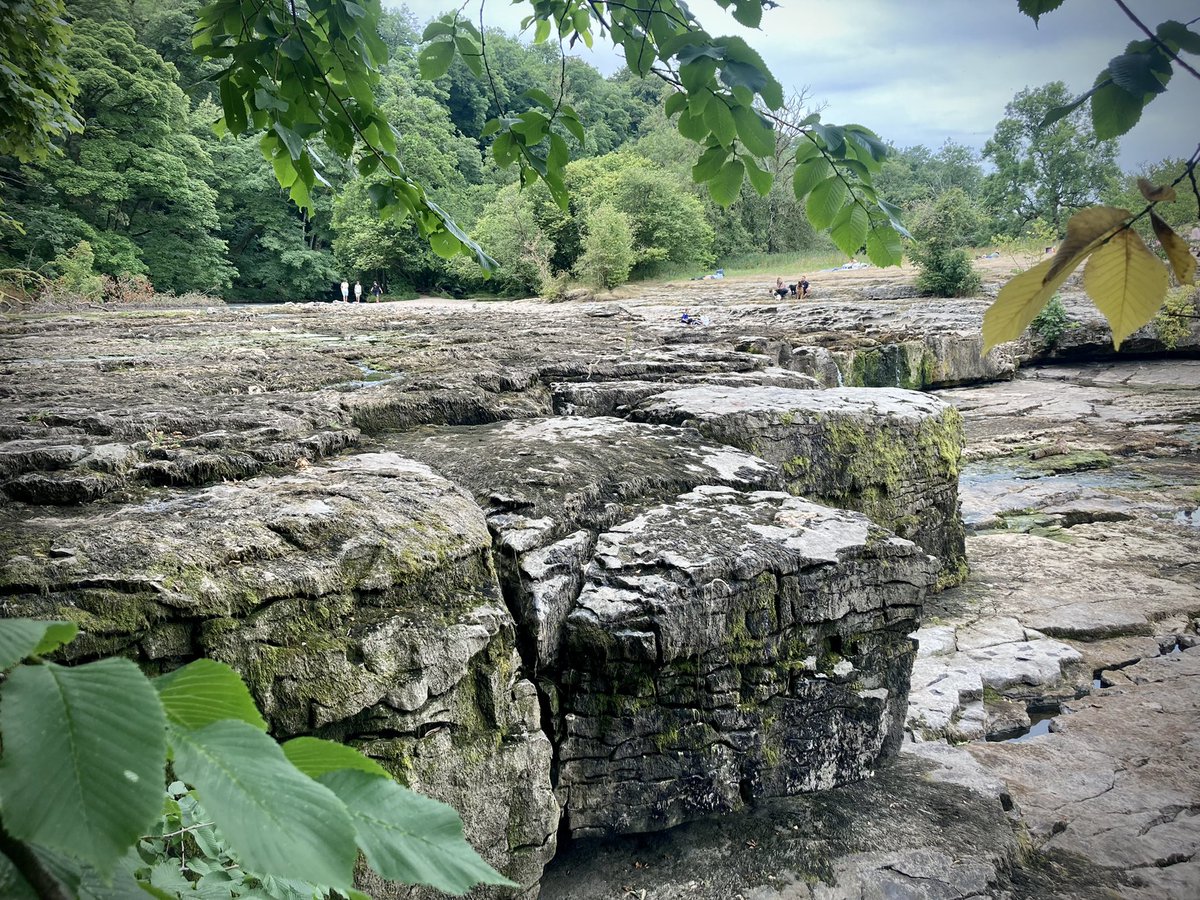 PAUL KINGSTON tweet media