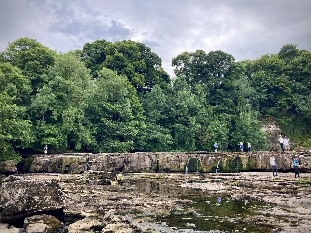 PAUL KINGSTON tweet media