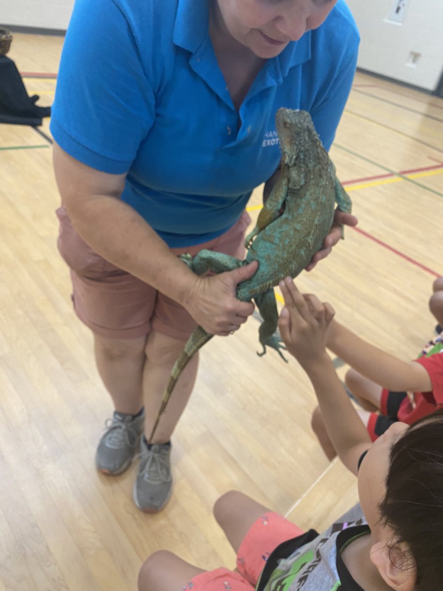 Thank you <a href="/HandsOnExotics/">Hands On Exotics</a> for such a wonderful presentation for our students today! <a href="/Deannamodaffar1/">Deanna Galasso</a> <a href="/HCDSB_k/">Kindergarten at HCDSB</a> <a href="/SmithMiss6/">Miss. Smith</a>