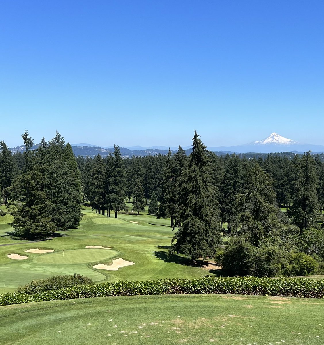 lake Oswego Country Club with Mount Hood in the background…wishing my golf game was as beautiful 😎