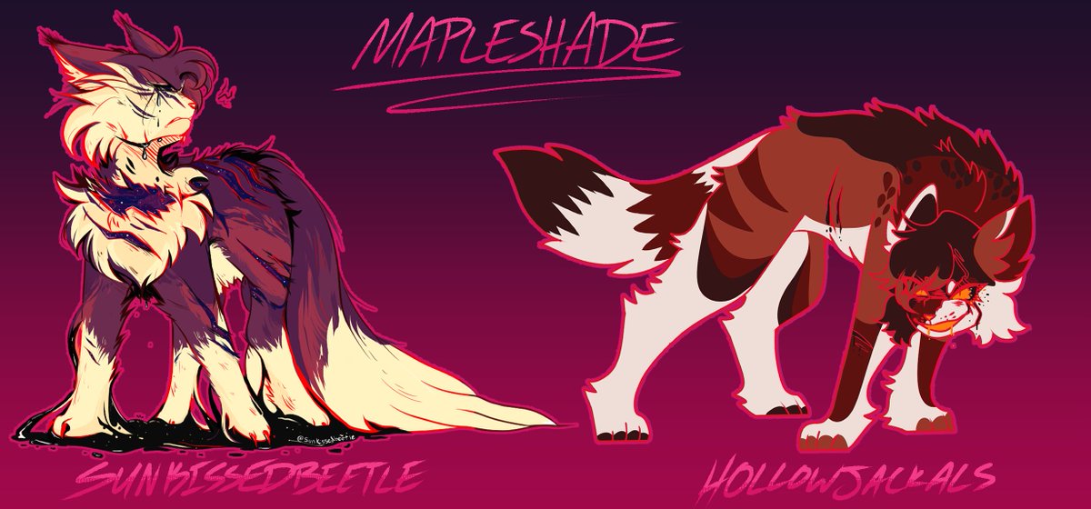 hollowjackals's tweet photo. Some #warriorcats stuff, both canon and original stuff :] 
[Hollypaw belongs to Kai_H on Wayward in the second image, the Mapleshade on the left was done by @SunKissedBeetle, and Tigerdawn is owned by FenrisWheel on Wayward in the final image!] https://t.co/bZvY3e3WqI