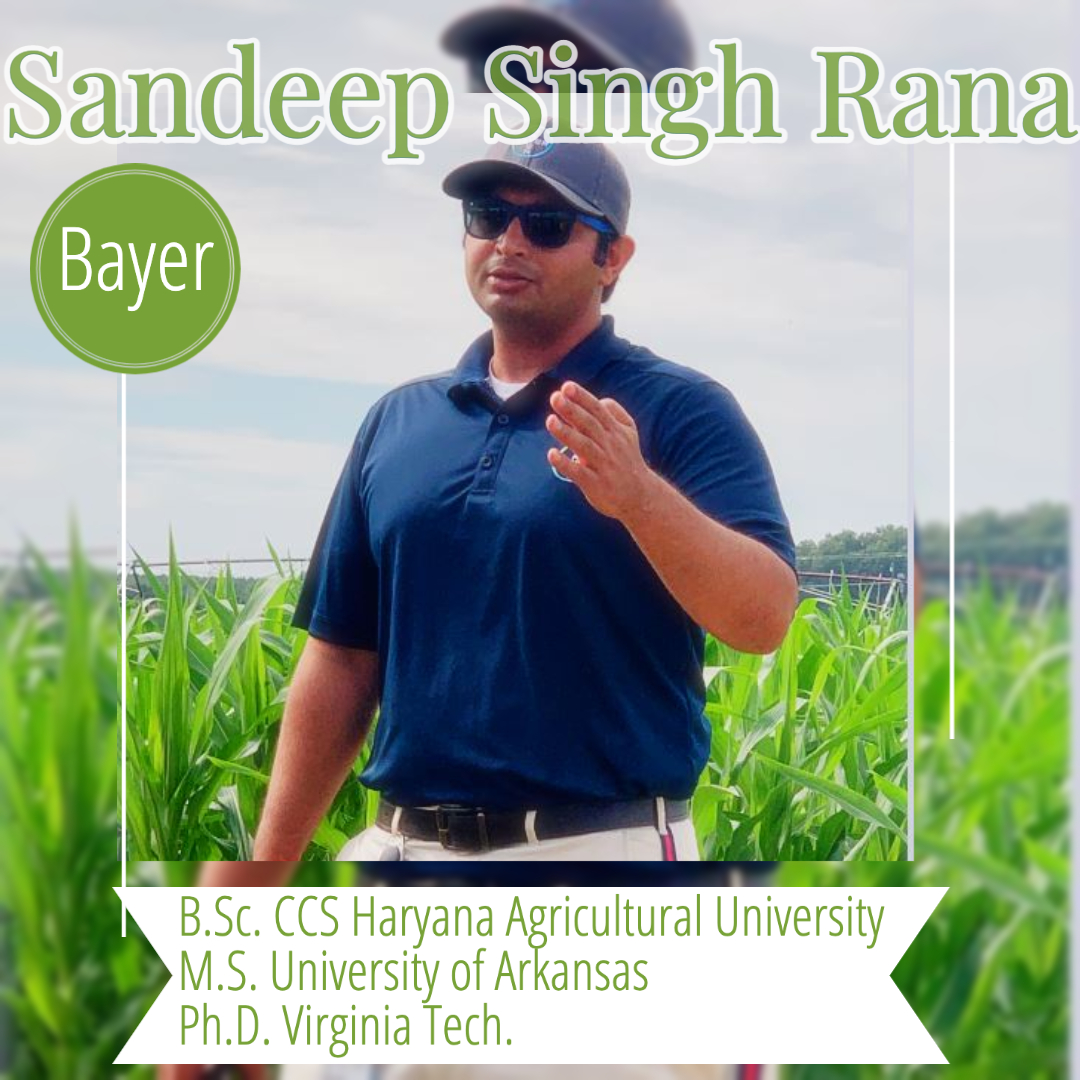 WSSA_GSO's tweet photo. Sandeep is our alumni spotlight this month. Well deserved! @HokieHogs
Read more below to learn about Sandeep, his career, and @Bayer4Crops! #HealthForAllHungerForNone https://t.co/QQWro4kts9