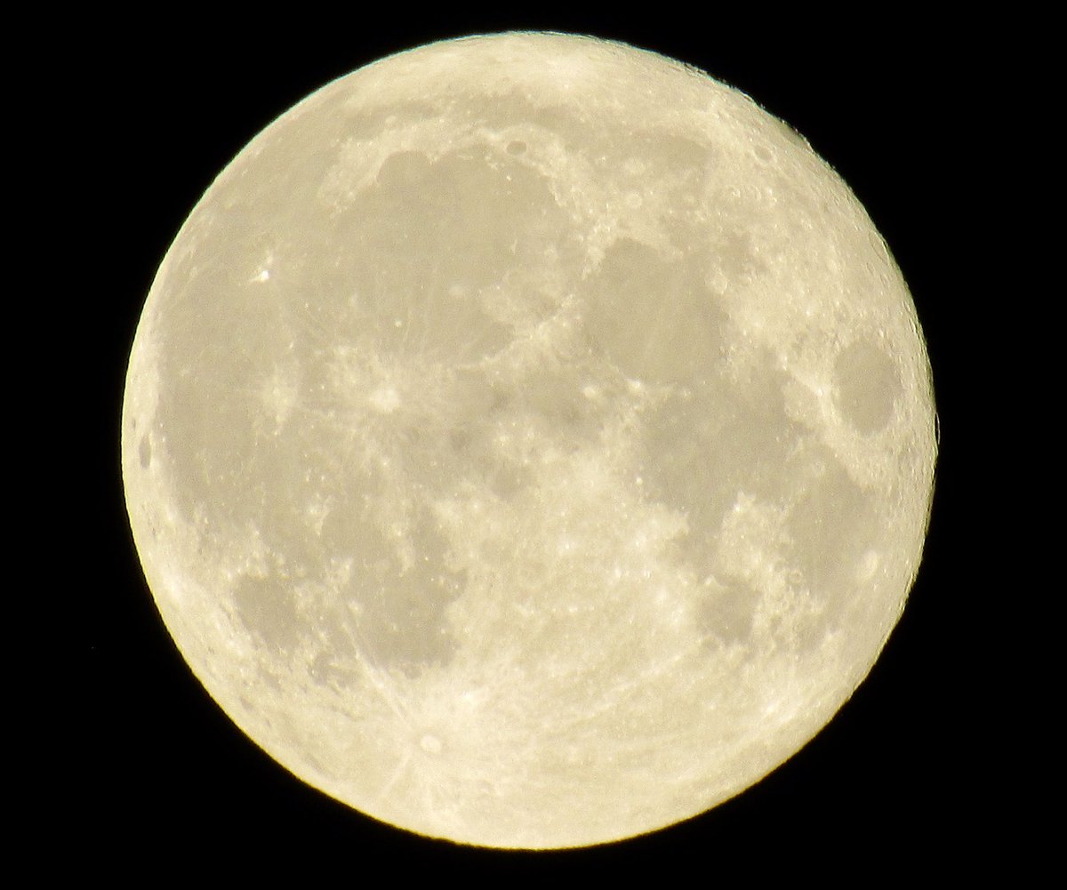 📸VineyardWarrior📸 tweet media