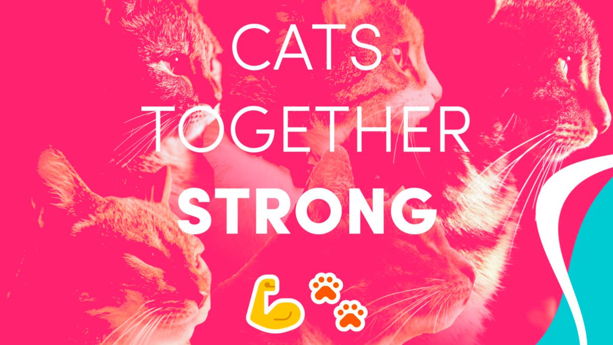 PussDAO tweet media