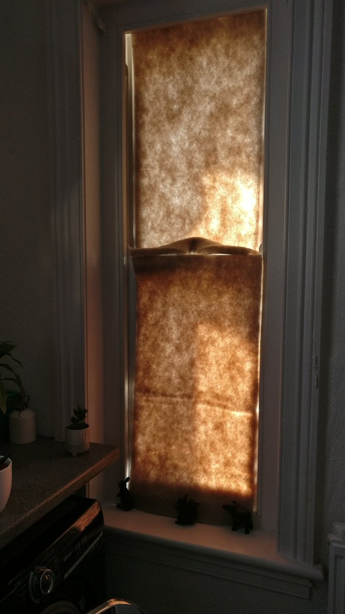 TomPullin_'s tweet image. Hello Fresh users; the cold bag insulation works surprisingly well as a sunshine blocker
#heatwave #heatwavetips