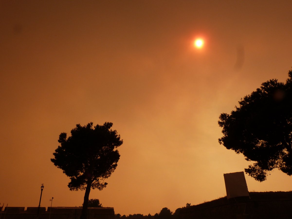 Francesc Cruanyes tweet media