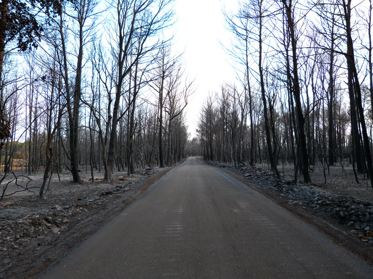 Francesc Cruanyes tweet media