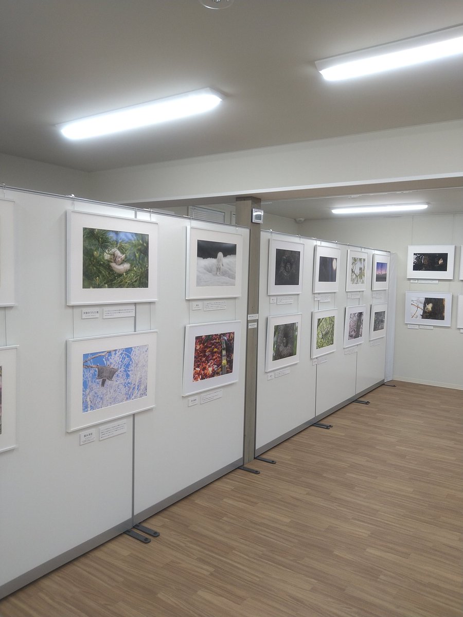 pnt8718's tweet photo. 標茶町から
標茶町博物館ニタイ・トで開催中の佐藤章さんの写真展「和毛」(ニコゲ)に17日㈰に観覧してきました🥰
とても素敵な写真で撮影の仕方について凄く勉強になりました👍
#佐藤章 #和毛 #ニコゲ #標茶町 #標茶町博物館 #標茶町博物館ニタイ・ト #写真展 #動物写真 #hokkaido #shibecha https://t.co/6hpoNFwykp