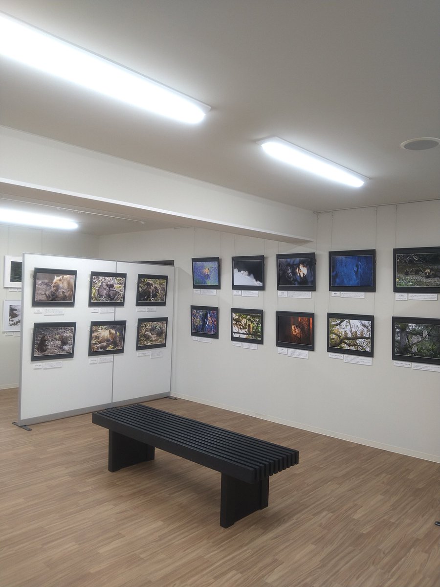 pnt8718's tweet photo. 標茶町から
標茶町博物館ニタイ・トで開催中の佐藤章さんの写真展「和毛」(ニコゲ)に17日㈰に観覧してきました🥰
とても素敵な写真で撮影の仕方について凄く勉強になりました👍
#佐藤章 #和毛 #ニコゲ #標茶町 #標茶町博物館 #標茶町博物館ニタイ・ト #写真展 #動物写真 #hokkaido #shibecha https://t.co/6hpoNFwykp