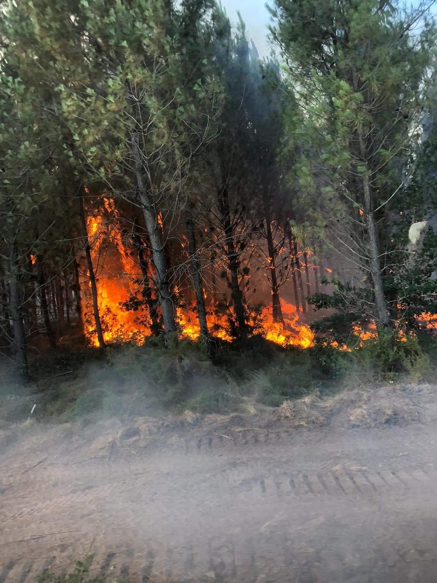 SDIS58's tweet photo. 🚨 #RenfortsFDF
Nos 10 #SP nivernais engagés dans la #colonne Bravo avec 2 #CCF et 1 #VTU. Ils œuvrent dans le secteur #Landiras ! #GIFF 58/71 🧑🚒💦🔥
Soyez prudents !
#FeuxDeForêts #Gironde
@COZ_EST #CozSudOuest @Prefet58 @PrefAquitaine33 #SDIS33 @SecCivileFrance @SDIS71 https://t.co/ENK38Jfopv