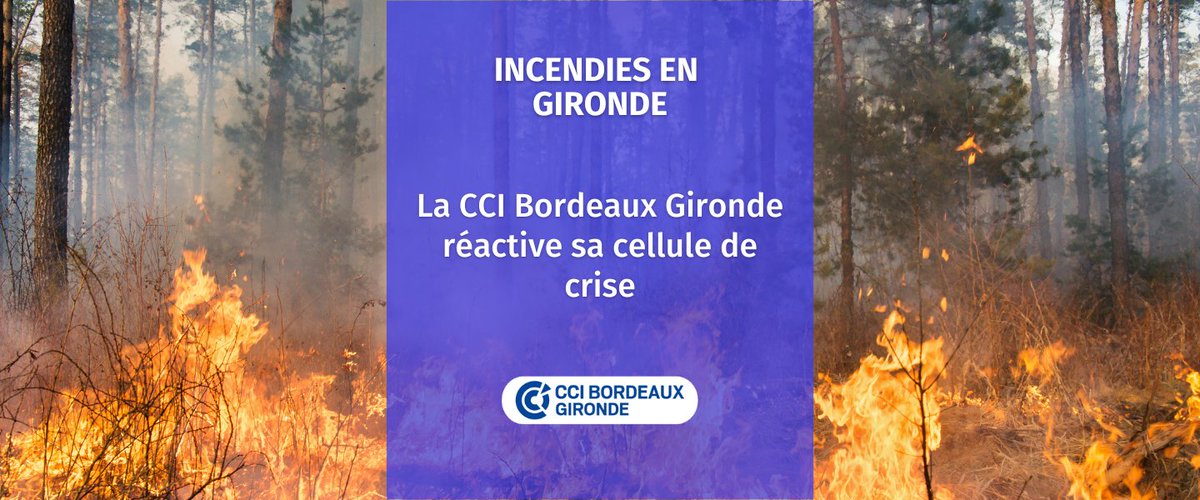CCIBdxGironde's tweet photo. #Gironde #FeuxDeForets: Face à la gravité de la situation, la @CCIBdxGironde réactive son dispositif de crise pour les entreprises impactées par les incendies. Pour contacter la cellule: 
☎ par téléphone au 05 56 79 5000 
📧par mail à contact@bordeauxgironde.cci.fr https://t.co/YVW7wvXZTM
