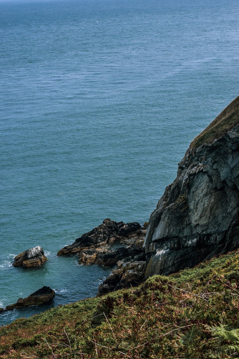 Glance Through My Lens Photography tweet media