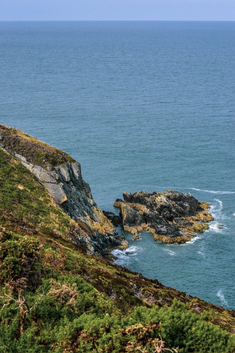 Glance Through My Lens Photography tweet media