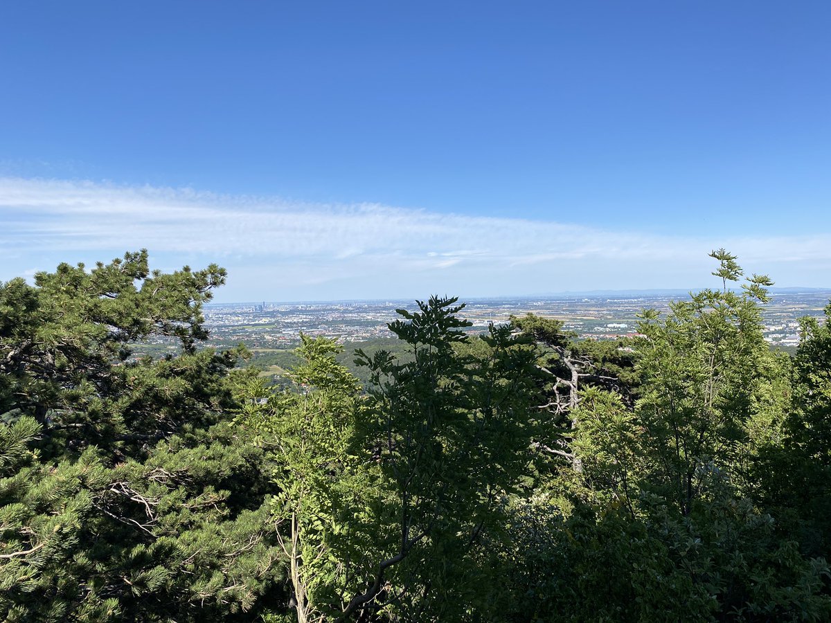 Having no motivation to do anything sucks. I do thankful to have someone who makes me get out of my comfortzone. 

Ngl i missed twitter and the CNFT space a lot 👀