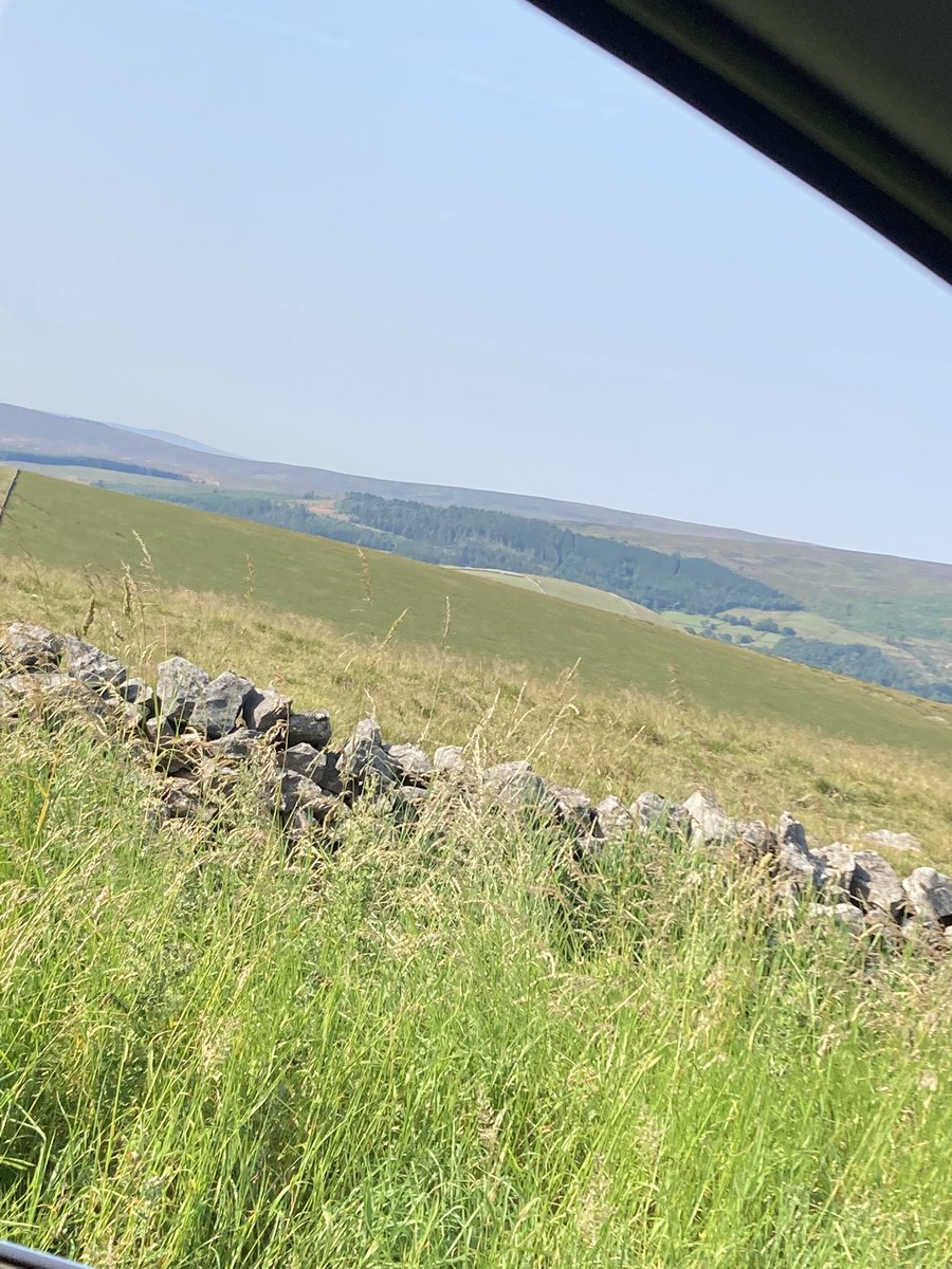 🔔 Gemma Bell 🔔 tweet media