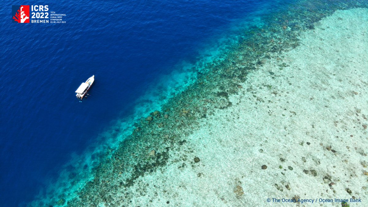 We hope that you all got home safely and had some time to reflect on your impressions of #icrs2022. 
FYI: you can still upload virtual presentations until Sunday (24.07.). We'll transfer all uploaded presentations to the app by the following Monday 🪸