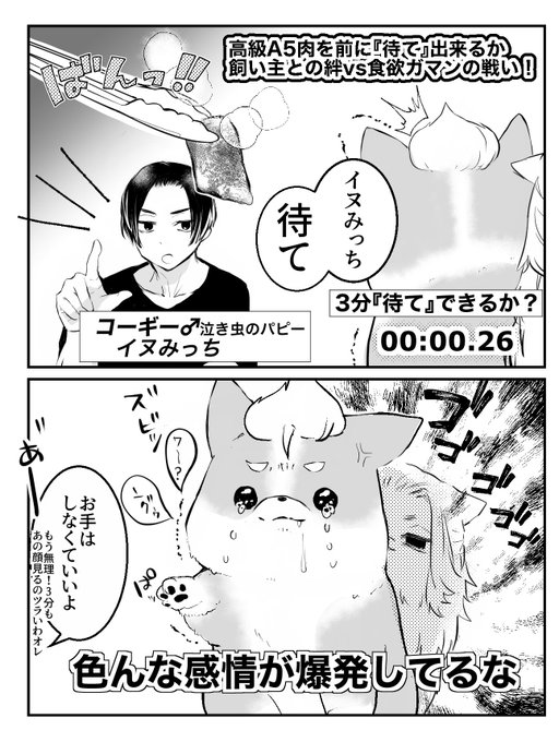 同棲しているマイ武さん家の🐶
人も🐶も我慢が出来ない。
(某ドッキリ番組パロ) 