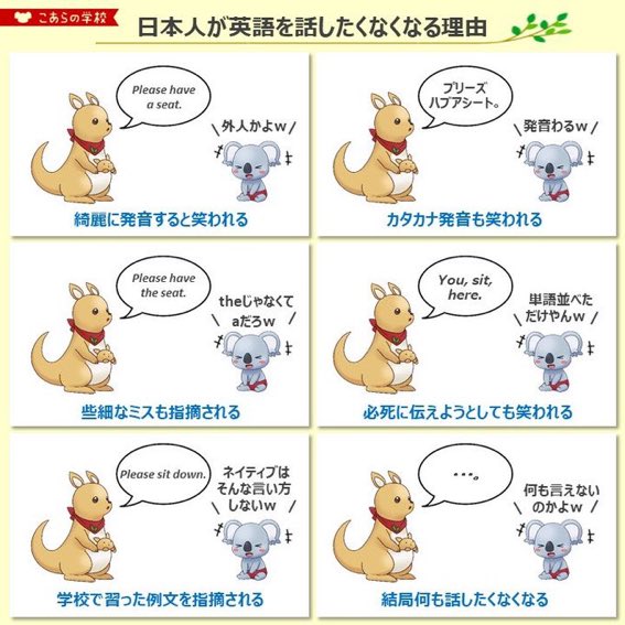 あと最悪なのがこれ🐨 