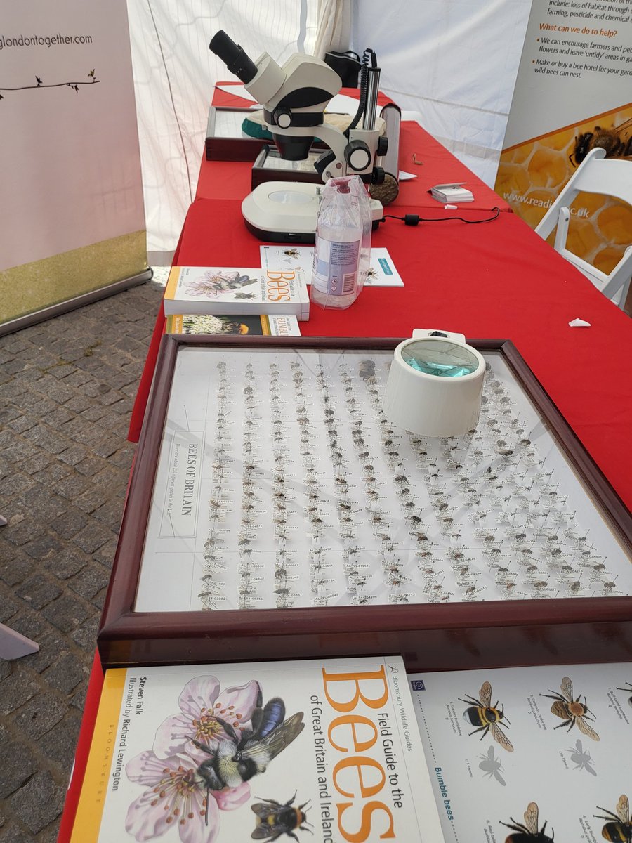 The #ReadingBeeTeam all set up ready for #BeesNeeds <a href="/TowerOfLondon/">The Tower of London</a> #Superboom with <a href="/PollinatingLT/">Pollinating London Together</a>. Come join us today to learn all about #pollinators  <a href="/UniRdg_Research/">Connecting Research</a> <a href="/UniRdg_SAPD/">SAPD at Reading Uni</a> <a href="/CAER_Reading/">CAER</a>