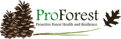 JOB: Research and Communications Coordinator for ProForest, a Southeastern network of institutions focused on healthy and productive forests: explore.jobs.ufl.edu/en-us/job/5228…