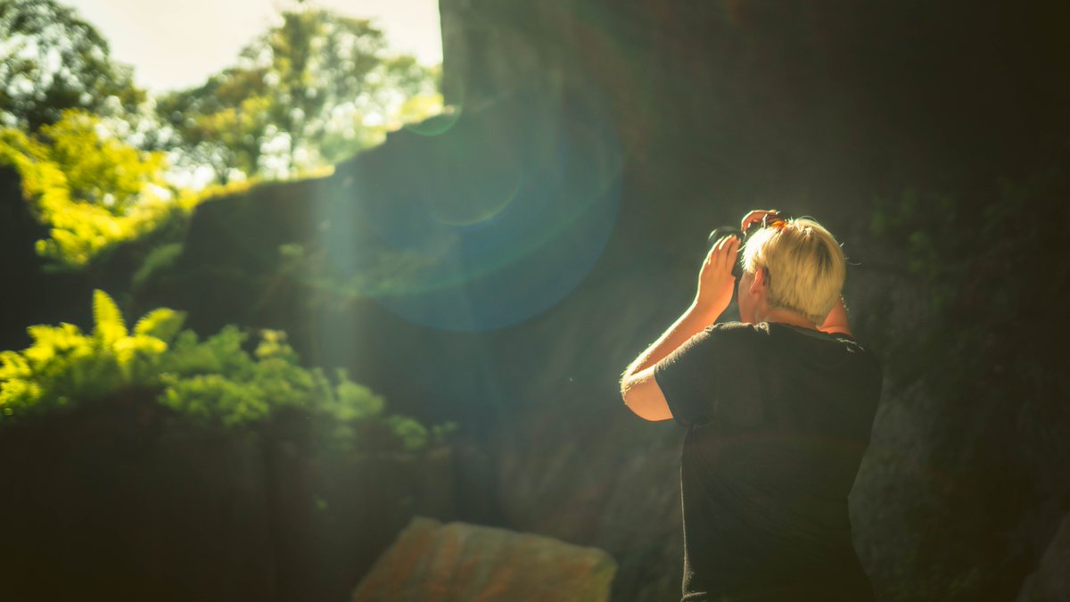 Alex Beddows tweet media