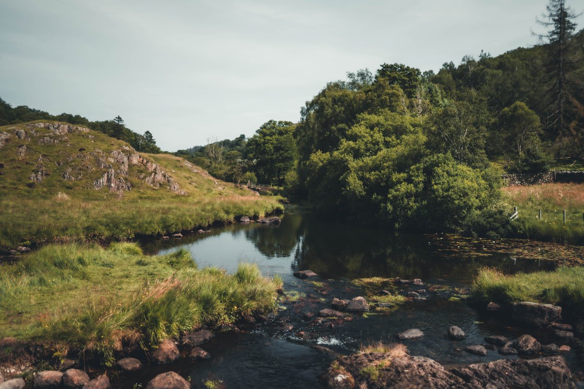 Alex Beddows tweet media