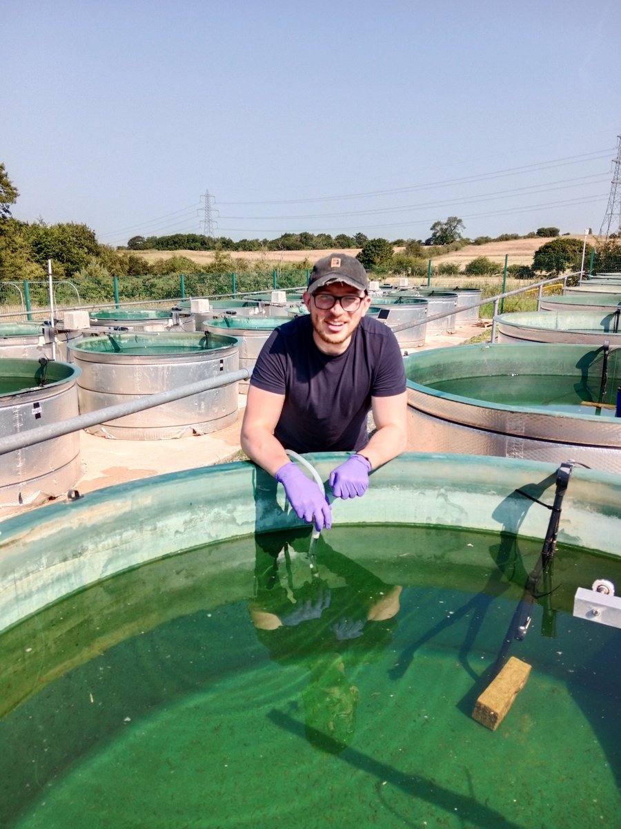 Nicolas Clercin (@misteralgae) on Twitter photo Happy eDNA filtration with <a href="/Danharveyeco/">Dan Harvey</a> under a scorching British sun <a href="/aquacosm/">AQUACOSM</a> #mesocosm facility <a href="/UK_CEH/">UK Centre for Ecology & Hydrology</a> Happy eDNA filtration with <a href="/Danharveyeco/">Dan Harvey</a> under a scorching British sun <a href="/aquacosm/">AQUACOSM</a> #mesocosm facility <a href="/UK_CEH/">UK Centre for Ecology & Hydrology</a>