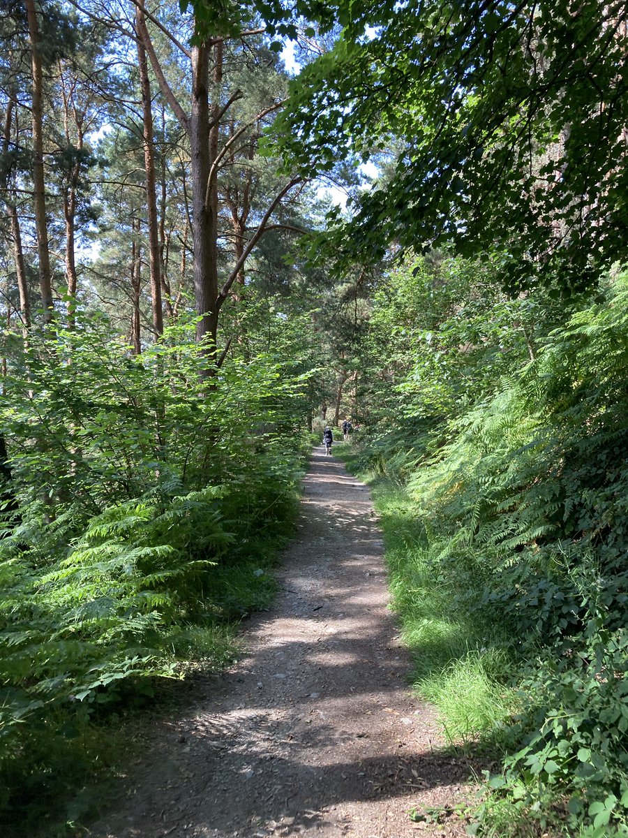 We are off. It is Scorchio! But we are desert ready and carrying plenty of water! #wksdofe <a href="/WestKirbySchool/">West Kirby School</a>