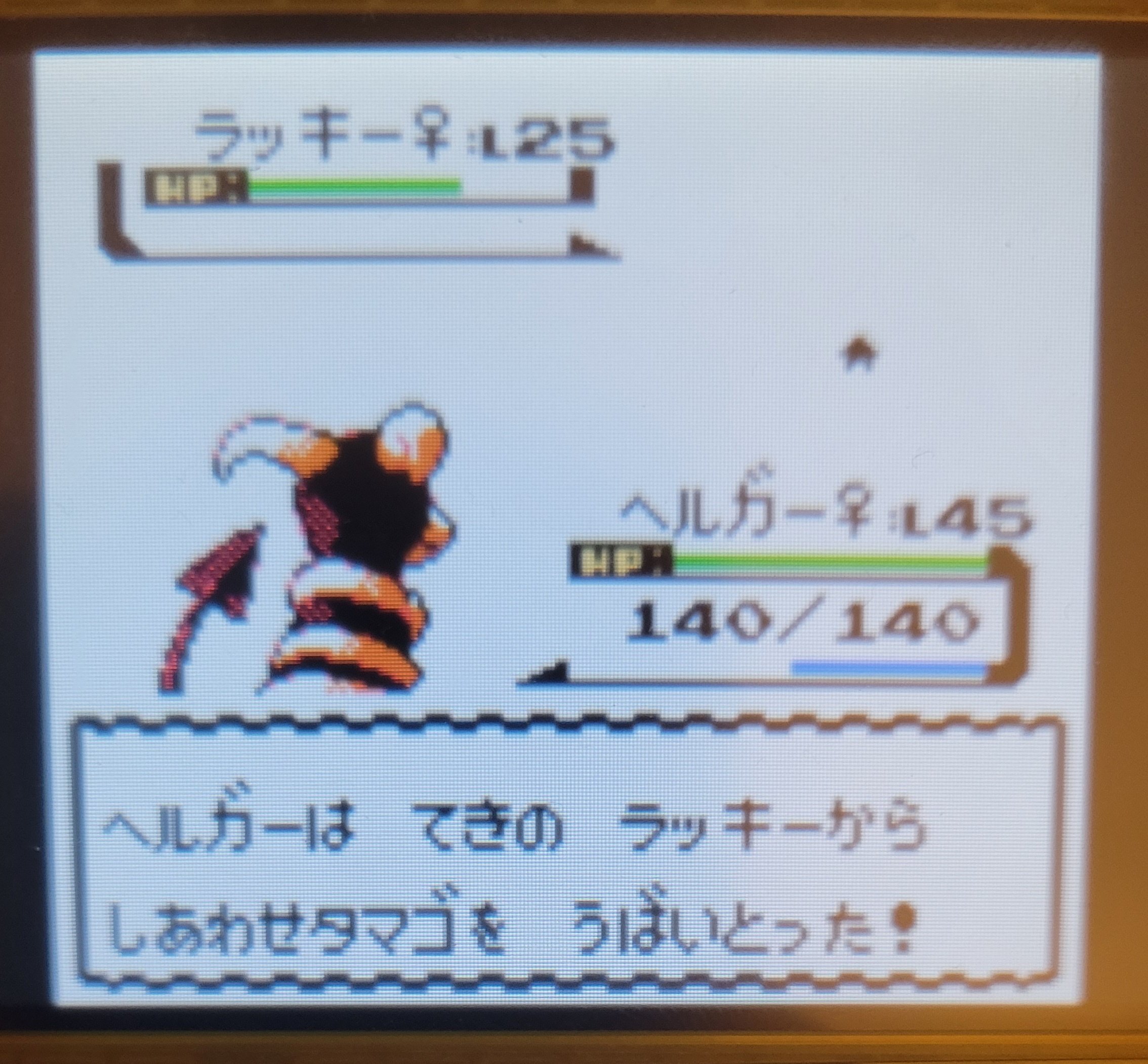 ポケモン金銀vc Twitter Search Twitter