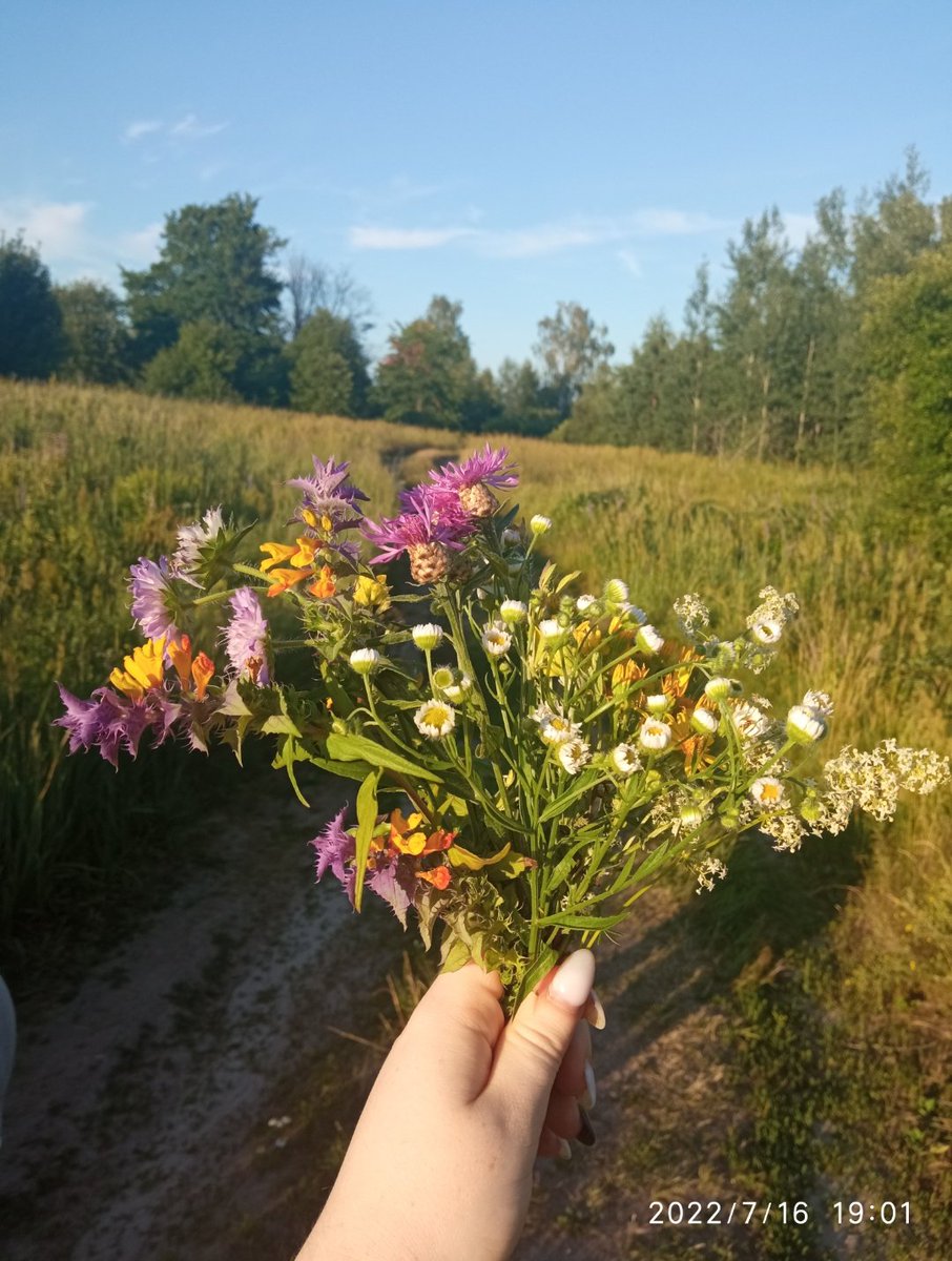 ffelwk's tweet photo. четыре рандомных снимка из раздела «камера»

какому/какой персонажу/персонажке могла бы принадлежать моя галерея? https://t.co/C83OvFODs1
