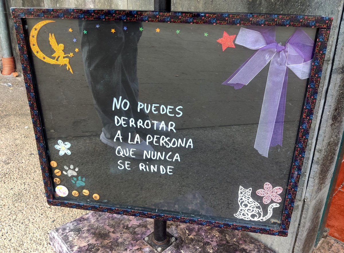 Whats_Patch's tweet photo. Feliz lunes!

 #julio2022  #siempreadelante  #frases #letras #arte #vida #pensamientos #frasescortas #frasesdiarias  #frasesinspiradoras #catlovers #doglovers #PlazaDelCristo #Tacoronte  #tenerife  #canaryislands https://t.co/kk39OmeBBY