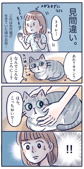 大体猫に見えるから🐱🐱

#コミックエッセイ #日常漫画 #猫漫画 #くもやの猫まんが 
