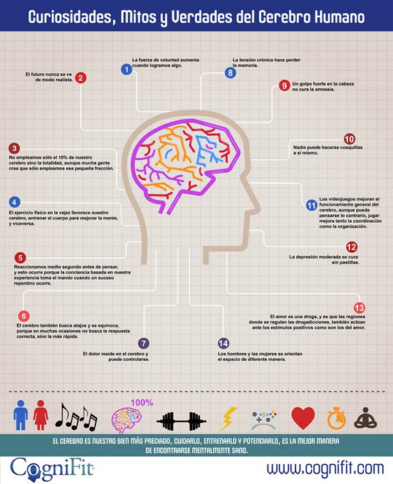 AESEG_genericos's tweet photo. 📊 #Infografía | Curiosidades, mitos y verdades del #cerebro humano. Fuente: @CogniFit https://t.co/5uLI47WTvq https://t.co/SJSLCtERhC