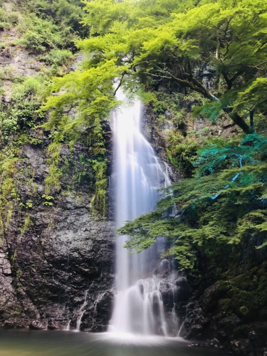 涼しく ひぐらしの鳴き声が耳に心地よい...
ライトアップした滝を見るには 1時間ほど早すぎた🤡