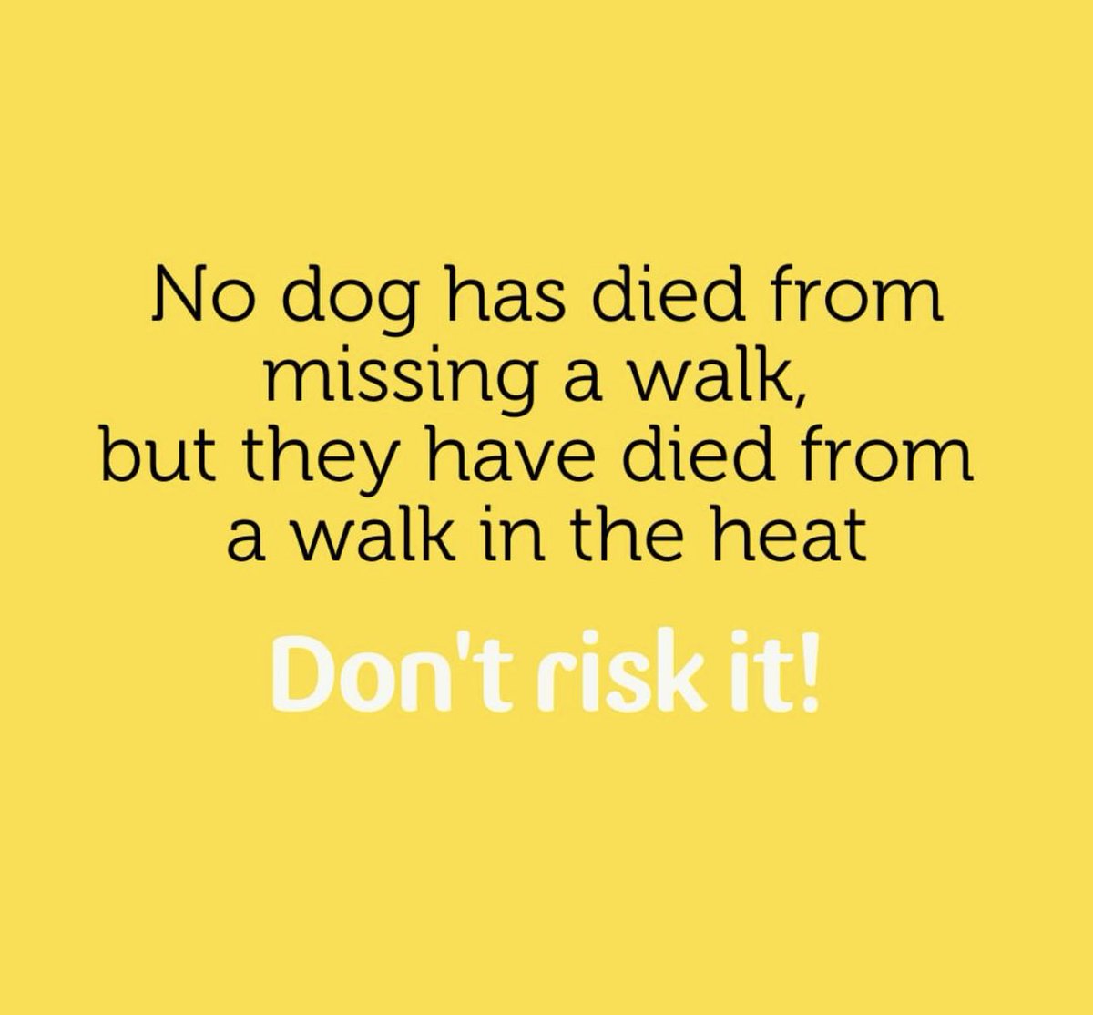 Don’t risk it. Keep your dogs inside at home in the cool.