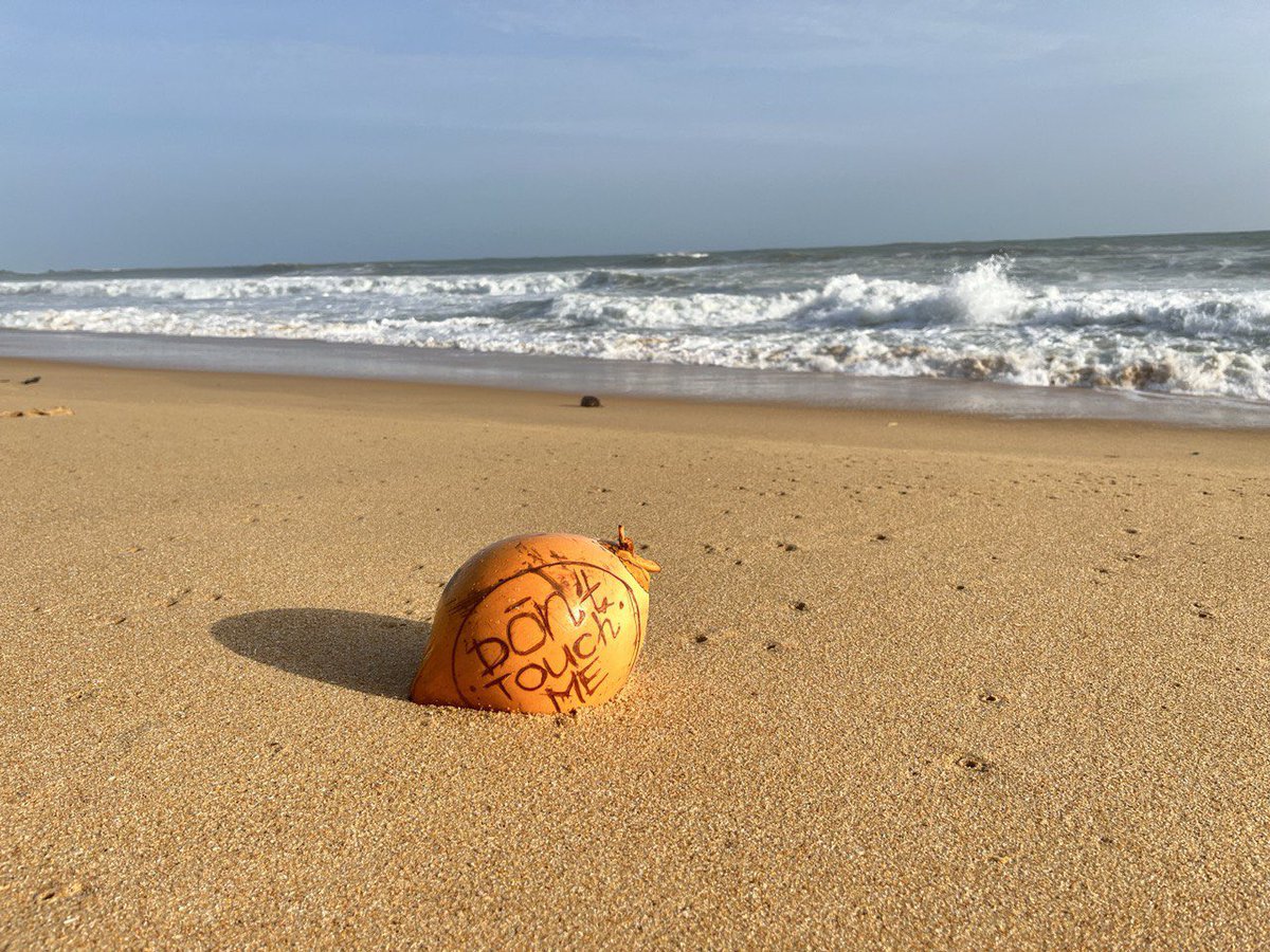 CocoTools's tweet image. GM Coco Islanders 🌴 

Let's catch the atmosphere together in @CocoTools 🥥🙃🔥 

Who believes Solana's summer will come?

#SolanaVibe #SolanaSummer #NFTProject