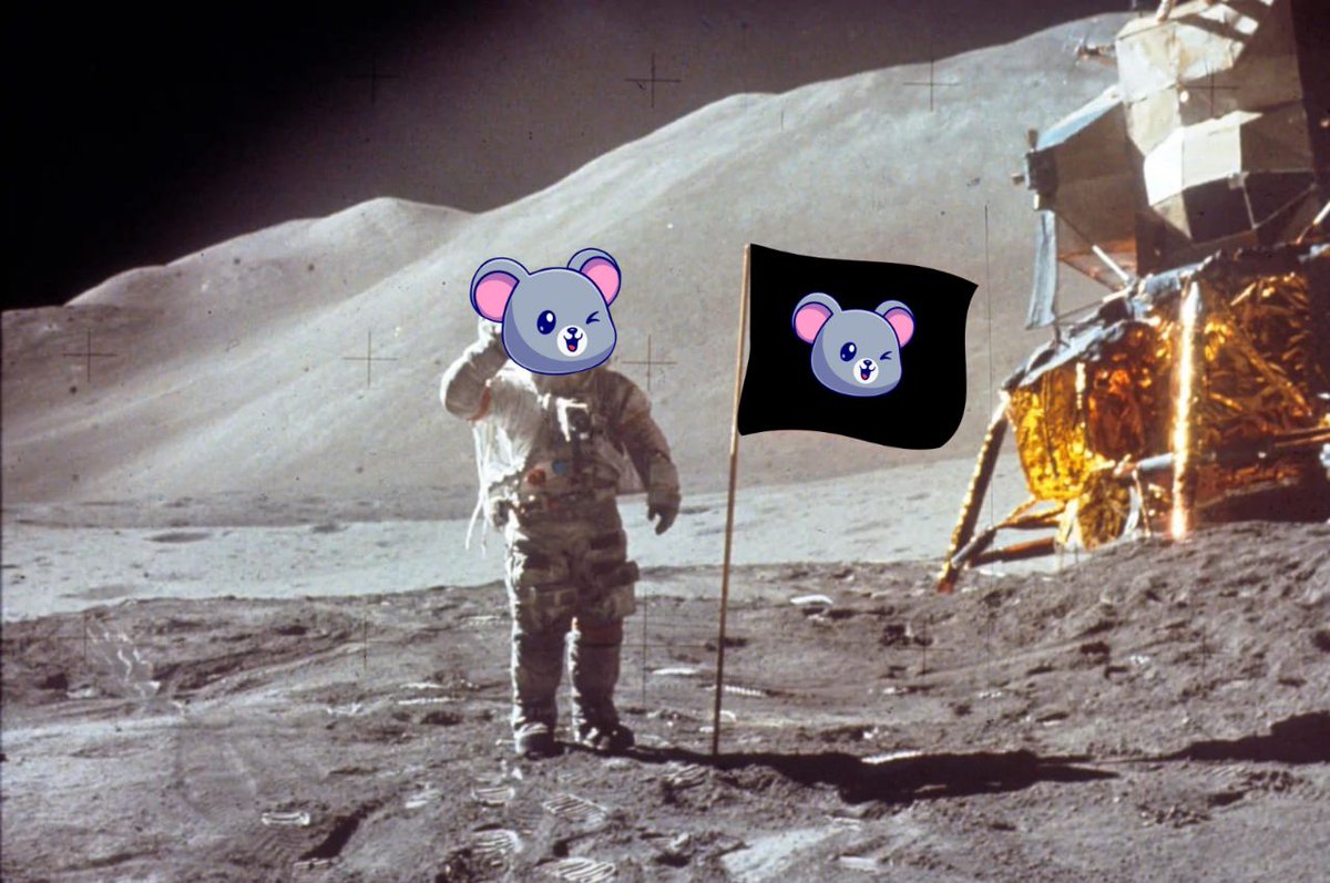 Mouse Coin tweet media