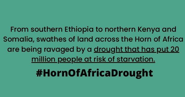 Rise up Movement tweet media