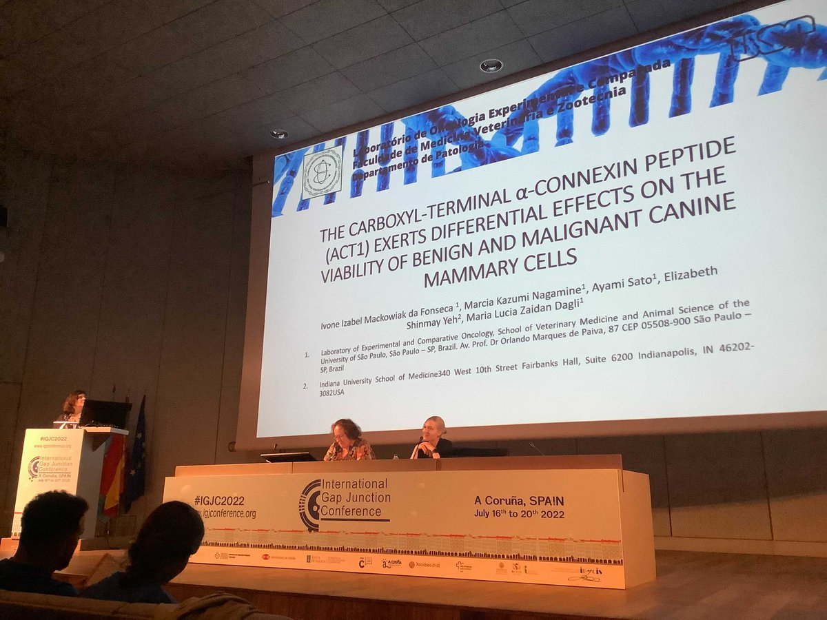 IGJC2022's tweet photo. After this great first talk, next speaker is Maria Dagli from the Universidade de São Paulo (@usponline), who will explain us how the aCT1 exerts different effects on the viability of benign and malignant canine mammary cell lines #IGJC2022 #PF13 https://t.co/pNTRknJMtk