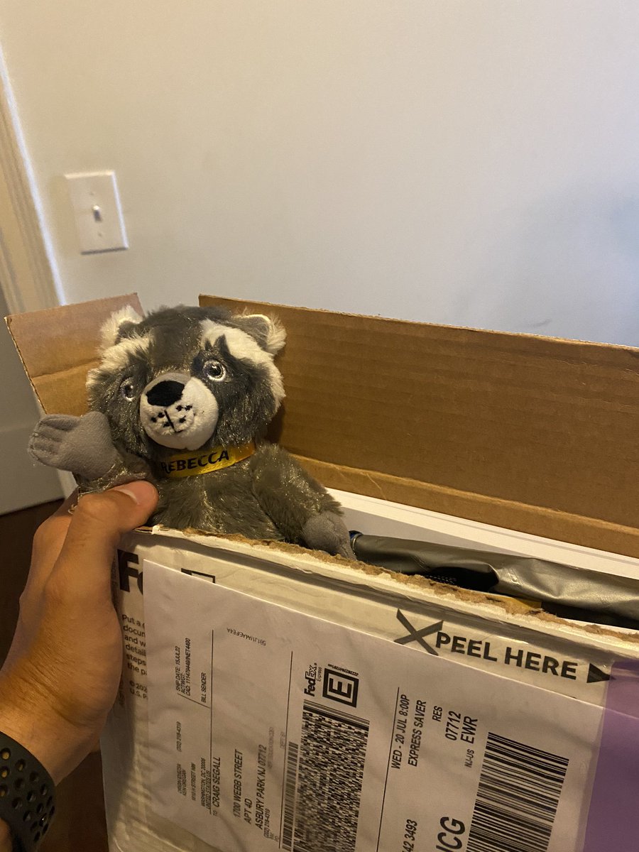 Craig Segall (he/him) tweet media