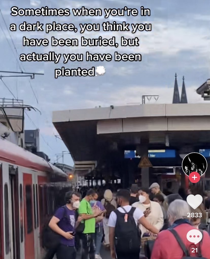 Bro es ist nur Köln