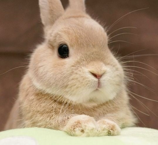 tiny__doyoung's tweet image. 🤲🏻
#NCT127  #DOYOUNG  #도영