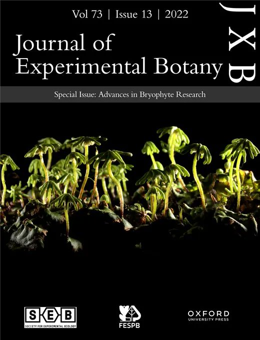 JXBot's tweet photo. NEW #SpecialIssue: Advances in #Bryophyte Research
Browse ToC: https://t.co/bHSeQLigk4

Read the Editorial: Bryophytes: how to conquer an alien planet and live happily (ever after) https://t.co/iysg96l717
by Francesca Degola, Luigi Sanità di Toppi &amp; Alessandro Petraglia https://t.co/veWy2waKGB
